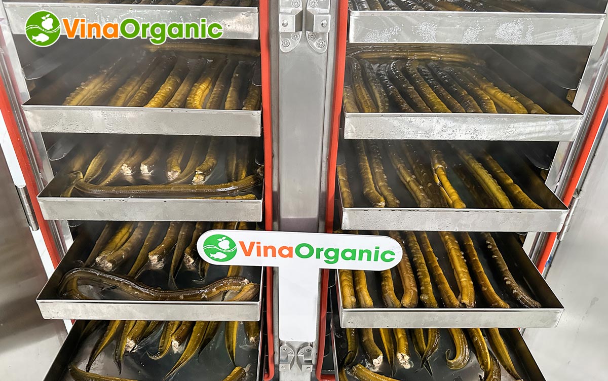 VinaOrganic cung cấp dây chuyền sản xuất chà bông lươn tơi, bông xốp thơm ngon, hấp dẫn. Liên hệ Hotline 0975299798 - 0938299798.