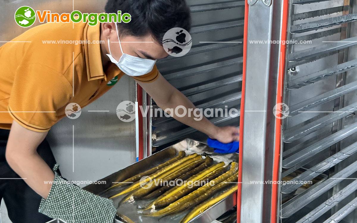 Vừa qua, VinaOrganic đã hoàn tất chuyển giao công nghệ sản xuất chà bông lươn cho một khách hàng tại TP.HCM.