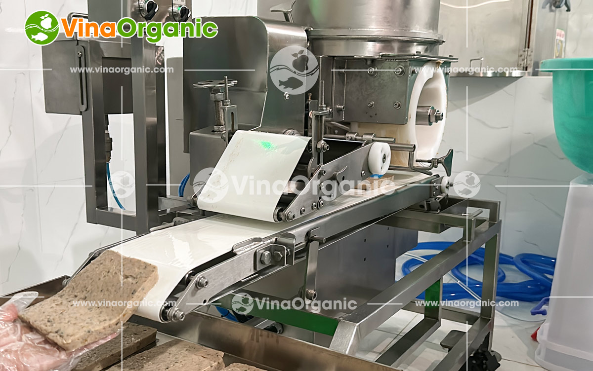 Tiếp nối hành trình mang nghề sản xuất, VinaOrganic vừa chuyển giao thành công công nghệ sản xuất chả lươn cho khách hàng tại TP.HCM.