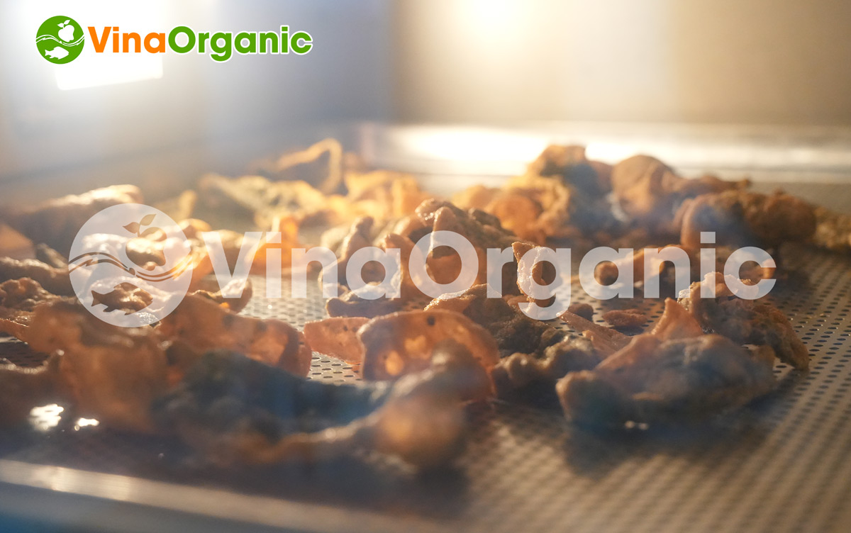 VinaOrganic chuyển giao công nghệ da ếch trứng muối thơm ngon, giòn tan khi ăn, bảo quản lâu dài. Liên hệ ngay Hotline/Zalo 0975299798 – 0938299798.