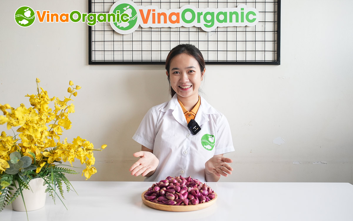 Biến ý tưởng thực phẩm thành sản phẩm thực tế là thách thức lớn, đòi hỏi dây chuyền sản xuất hiệu quả, an toàn. VinaOrganic hiểu rõ điều này. Chúng tôi tự hào là đối tác tin cậy, cung cấp giải pháp trọn gói từ tư vấn, thiết kế, lắp đặt đến chuyển giao công nghệ.