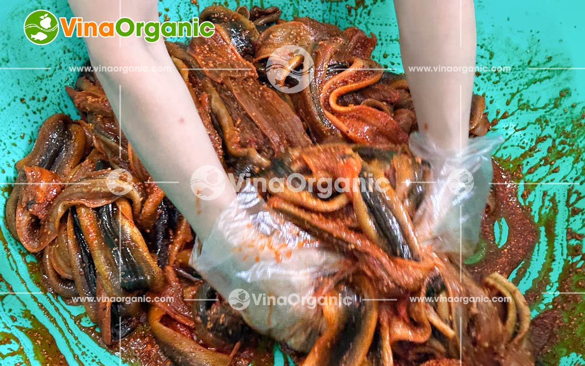 VinaOrganic cung cấp dây chuyền sản xuất lươn khô sấy cay dẻo dai, thơm ngon, hấp dẫn. Liên hệ Hotline/Zalo 0975299798 0938299798