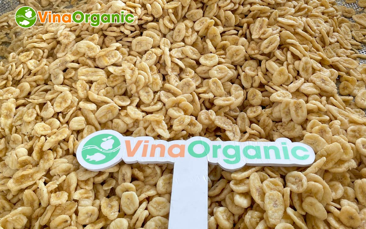 VinaOrganic bàn giao dây chuyền chuối chiên chân không tại Bình Dương, nâng tầm nông sản Việt, mở rộng thị trường. Tư vấn 0975.299798.