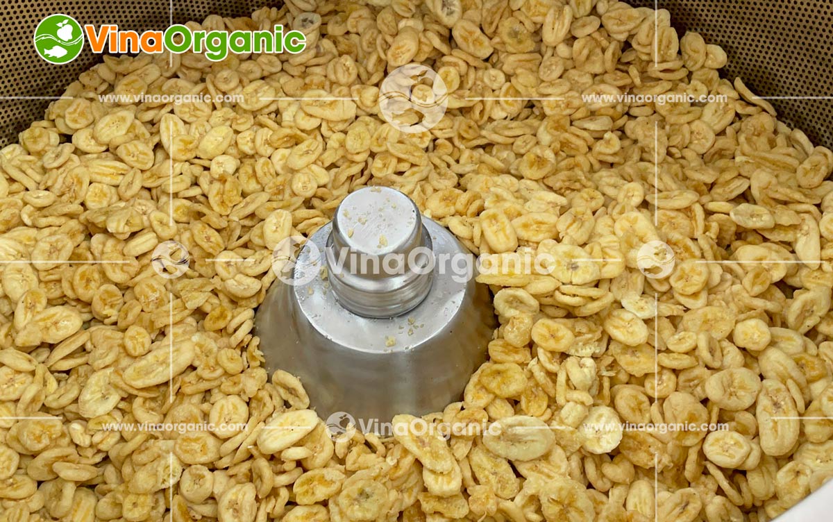 VinaOrganic bàn giao dây chuyền chuối chiên chân không tại Bình Dương, nâng tầm nông sản Việt, mở rộng thị trường. Tư vấn 0975.299798.