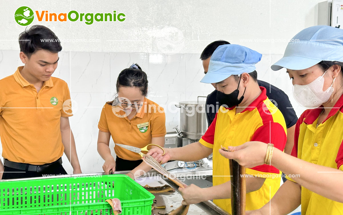 Biến ý tưởng thực phẩm thành sản phẩm thực tế là thách thức lớn, đòi hỏi dây chuyền sản xuất hiệu quả, an toàn. VinaOrganic hiểu rõ điều này. Chúng tôi tự hào là đối tác tin cậy, cung cấp giải pháp trọn gói từ tư vấn, thiết kế, lắp đặt đến chuyển giao công nghệ.