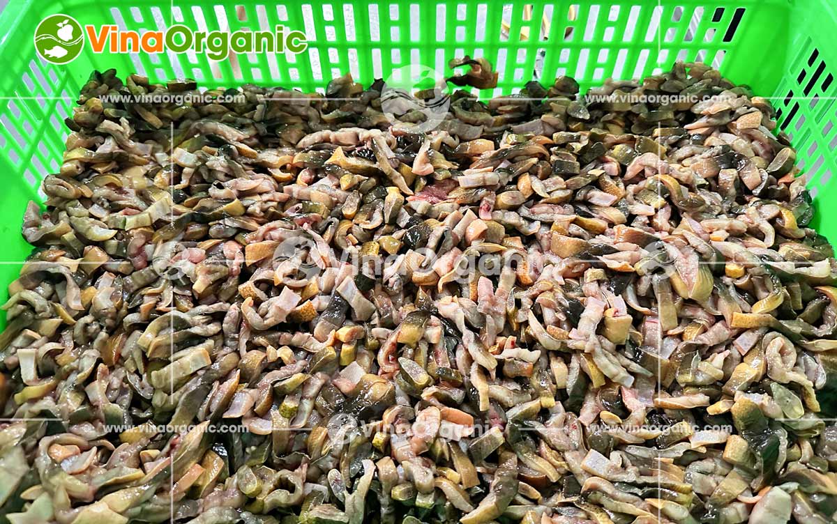 VinaOrganic tự hào là đối tác đồng hành cùng khách hàng tại Hóc Môn trong việc nâng tầm giá trị nông sản. Gần đây, chúng tôi đã hoàn thành việc chuyển giao trọn gói ba công nghệ chế biến lươn độc đáo: Khô lươn sấy cay, Chà bông lươn và Chả lươn.