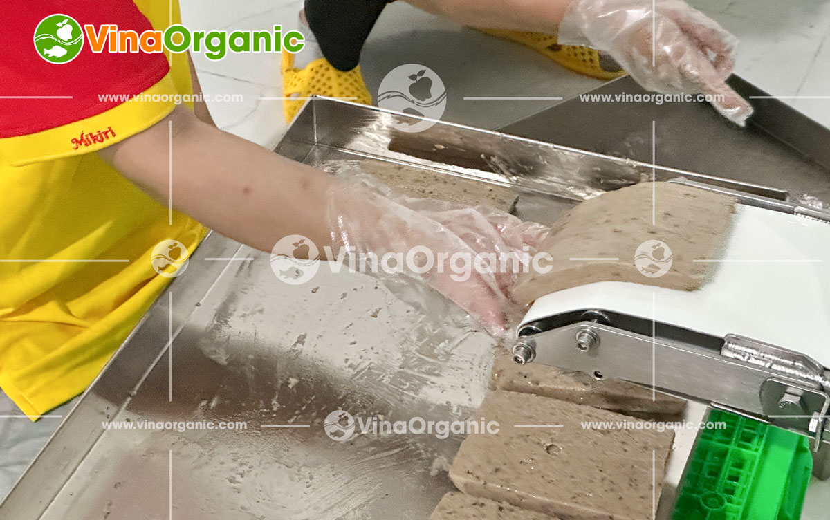 VinaOrganic tự hào là đối tác đồng hành cùng khách hàng tại Hóc Môn trong việc nâng tầm giá trị nông sản. Gần đây, chúng tôi đã hoàn thành việc chuyển giao trọn gói ba công nghệ chế biến lươn độc đáo: Khô lươn sấy cay, Chà bông lươn và Chả lươn.