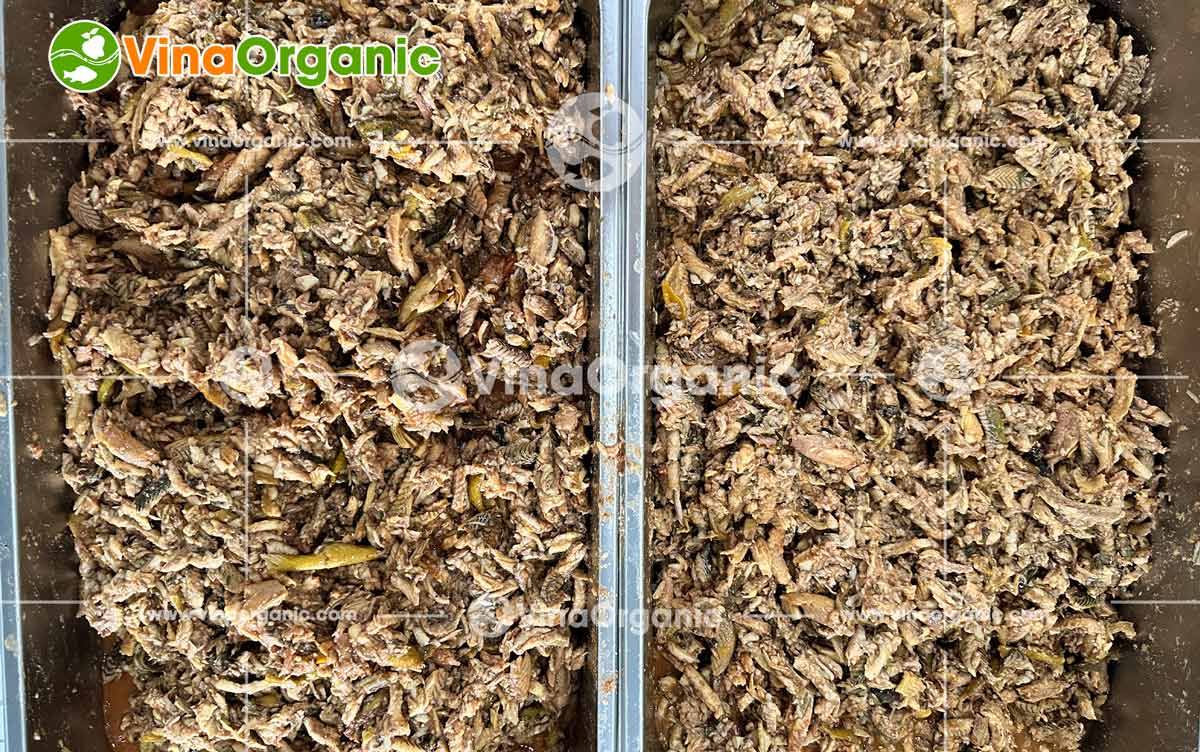 VinaOrganic tự hào là đối tác đồng hành cùng khách hàng tại Hóc Môn trong việc nâng tầm giá trị nông sản. Gần đây, chúng tôi đã hoàn thành việc chuyển giao trọn gói ba công nghệ chế biến lươn độc đáo: Khô lươn sấy cay, Chà bông lươn và Chả lươn.