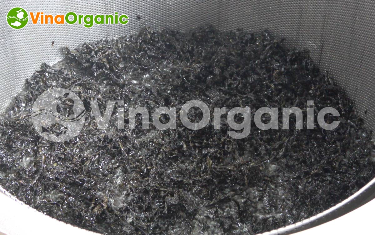 VinaOrganic cung cấp dây chuyền sản xuất rong biển tẩm vị giòn rụm, thơm ngon, hấp dẫn. Liên hệ Hotline 0975299798 - 0938299798.