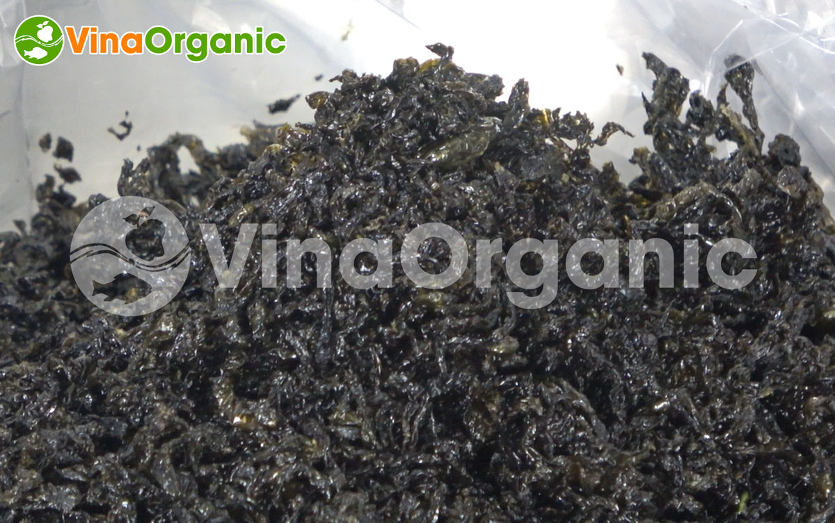 VinaOrganic cung cấp dây chuyền sản xuất rong biển tẩm vị giòn rụm, thơm ngon, hấp dẫn. Liên hệ Hotline 0975299798 - 0938299798.