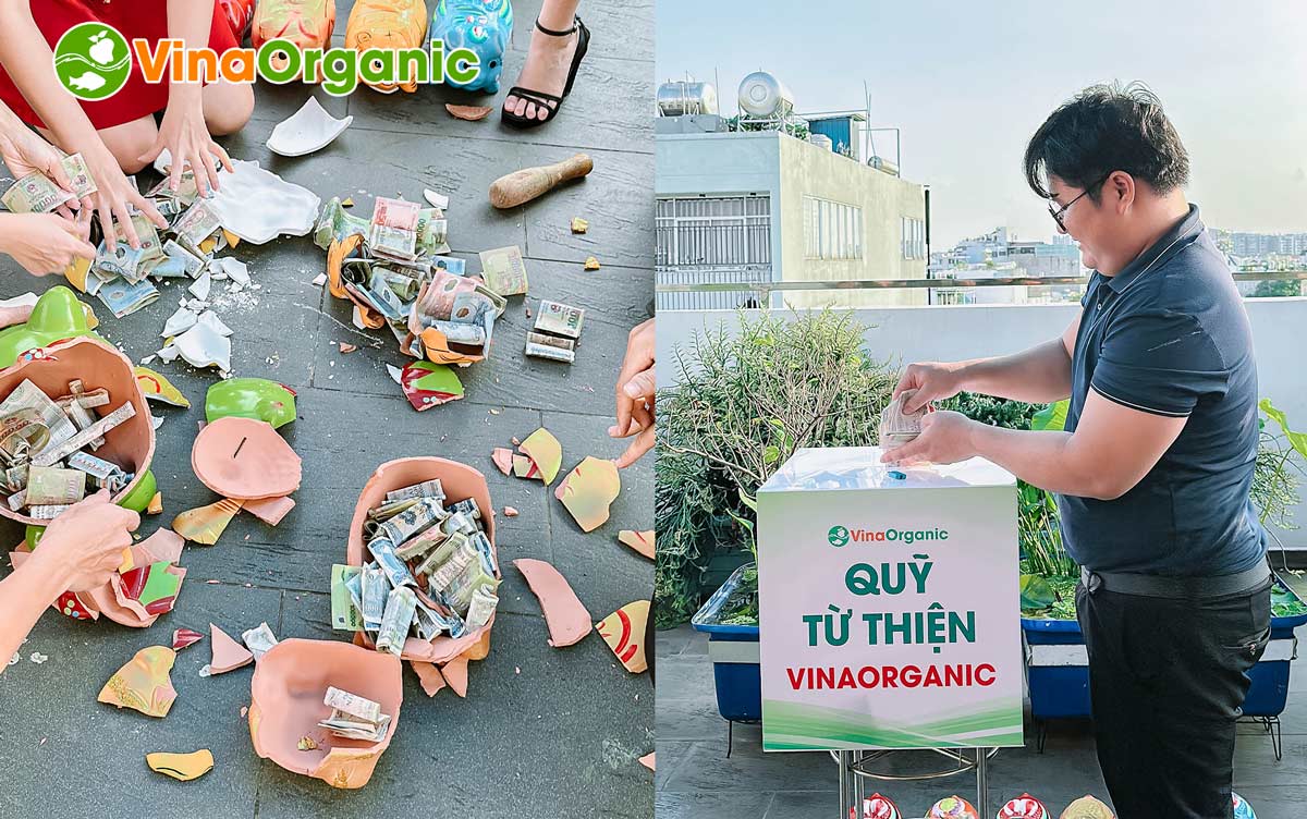 Vừa qua, VinaOrganic đã tổ chức “Lễ hội đập heo” – sự kiện đặc biệt đánh dấu sự ra đời của Quỹ từ thiện VinaOrganic.