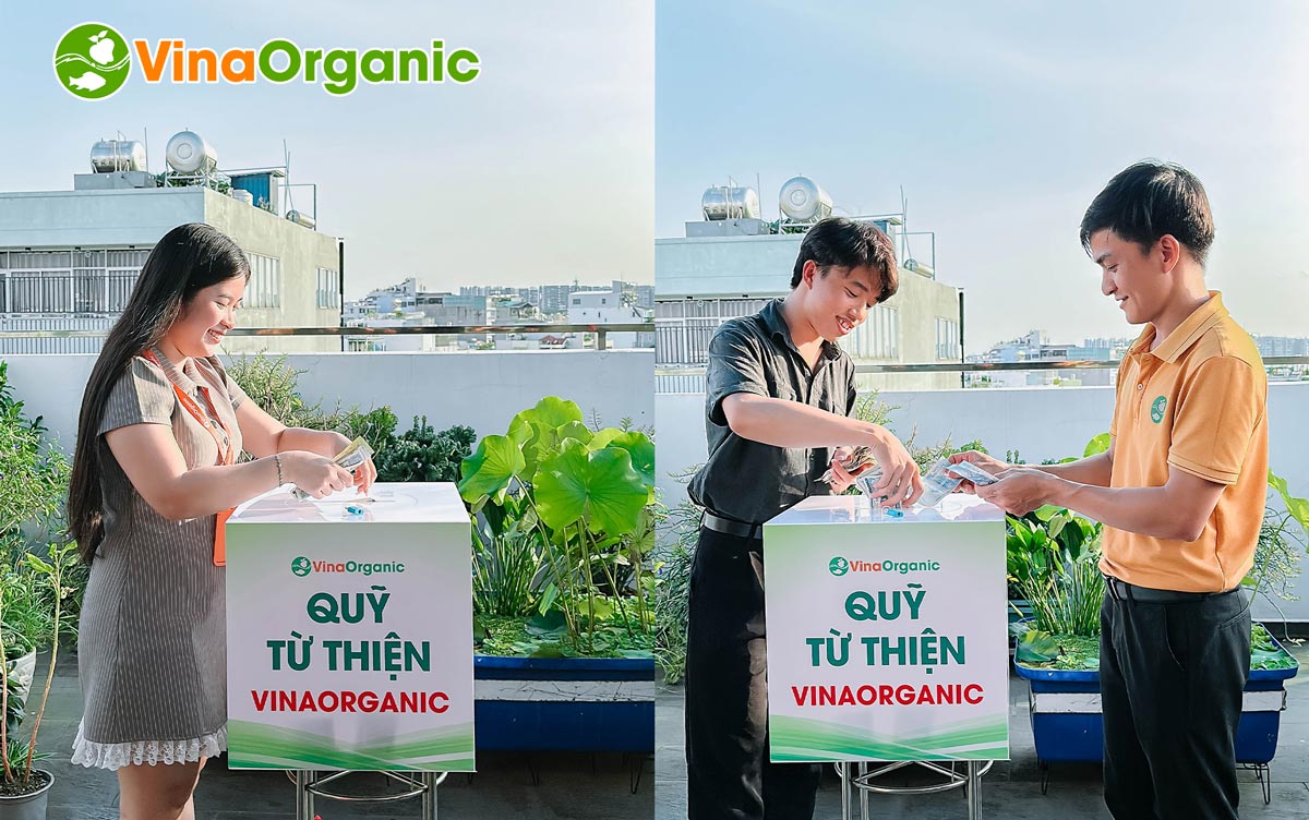Vừa qua, VinaOrganic đã tổ chức “Lễ hội đập heo” – sự kiện đặc biệt đánh dấu sự ra đời của Quỹ từ thiện VinaOrganic.