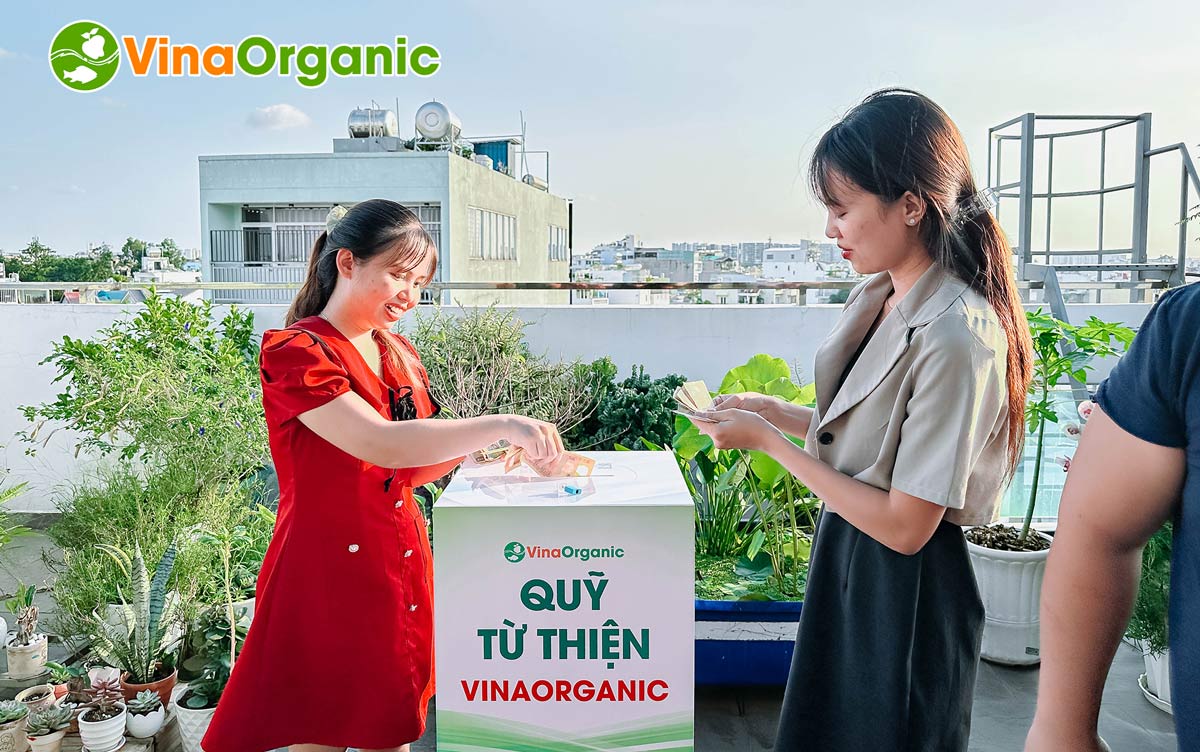 Vừa qua, VinaOrganic đã tổ chức “Lễ hội đập heo” – sự kiện đặc biệt đánh dấu sự ra đời của Quỹ từ thiện VinaOrganic.