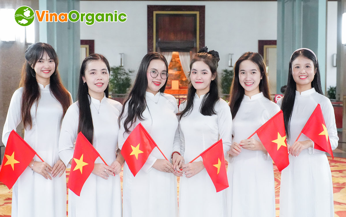 Tập thể cán bộ nhân viên VinaOrganic đã cùng nhau hưởng ứng lễ 2/9 với nhiều hoạt động ý nghĩa vào những ngày thu lịch sử.