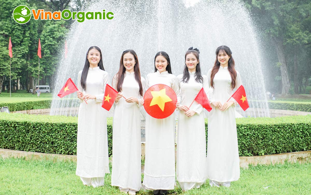 Tập thể cán bộ nhân viên VinaOrganic đã cùng nhau hưởng ứng lễ 2/9 với nhiều hoạt động ý nghĩa vào những ngày thu lịch sử.