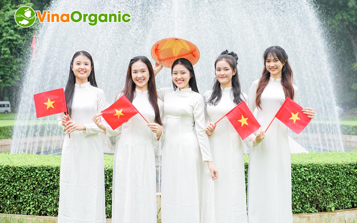 Tập thể cán bộ nhân viên VinaOrganic đã cùng nhau hưởng ứng lễ 2/9 với nhiều hoạt động ý nghĩa vào những ngày thu lịch sử.
