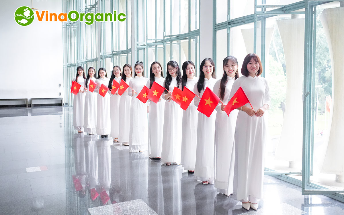 Tập thể cán bộ nhân viên VinaOrganic đã cùng nhau hưởng ứng lễ 2/9 với nhiều hoạt động ý nghĩa vào những ngày thu lịch sử.