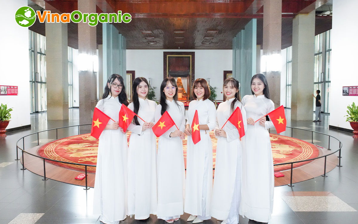 Tập thể cán bộ nhân viên VinaOrganic đã cùng nhau hưởng ứng lễ 2/9 với nhiều hoạt động ý nghĩa vào những ngày thu lịch sử.