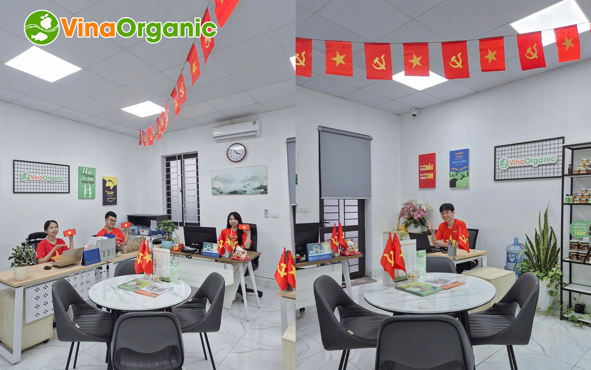 Tập thể cán bộ nhân viên VinaOrganic đã cùng nhau hưởng ứng lễ 2/9 với nhiều hoạt động ý nghĩa vào những ngày thu lịch sử.