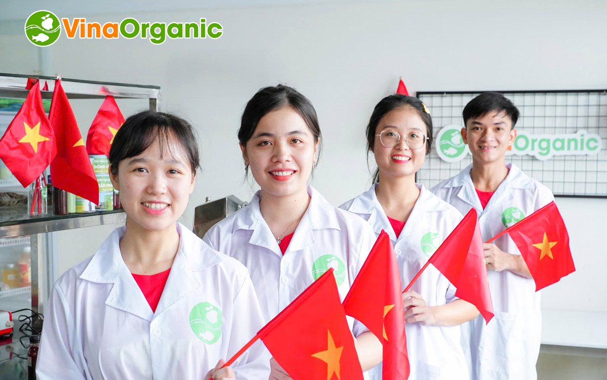 Tập thể cán bộ nhân viên VinaOrganic đã cùng nhau hưởng ứng lễ 2/9 với nhiều hoạt động ý nghĩa vào những ngày thu lịch sử.