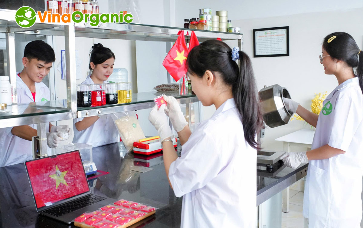 Tập thể cán bộ nhân viên VinaOrganic đã cùng nhau hưởng ứng lễ 2/9 với nhiều hoạt động ý nghĩa vào những ngày thu lịch sử.