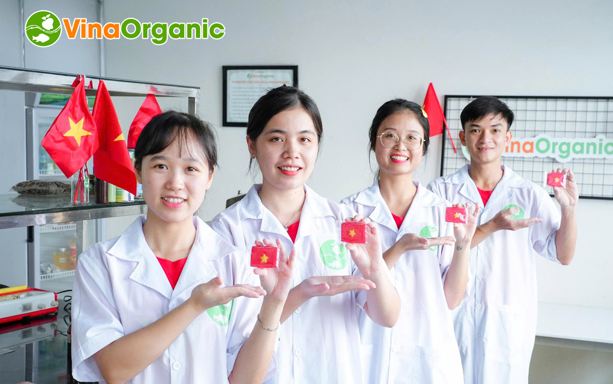 Biến ý tưởng thực phẩm thành sản phẩm thực tế là thách thức lớn, đòi hỏi dây chuyền sản xuất hiệu quả, an toàn. VinaOrganic hiểu rõ điều này. Chúng tôi tự hào là đối tác tin cậy, cung cấp giải pháp trọn gói từ tư vấn, thiết kế, lắp đặt đến chuyển giao công nghệ.