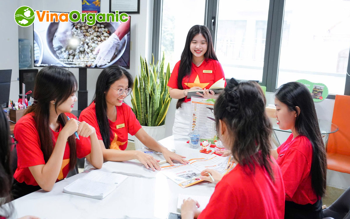 Tập thể cán bộ nhân viên VinaOrganic đã cùng nhau hưởng ứng lễ 2/9 với nhiều hoạt động ý nghĩa vào những ngày thu lịch sử.