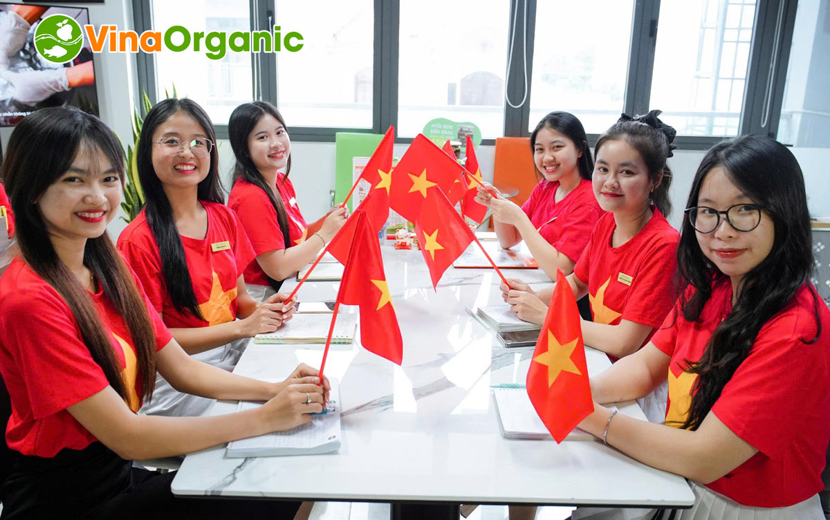 Tập thể cán bộ nhân viên VinaOrganic đã cùng nhau hưởng ứng lễ 2/9 với nhiều hoạt động ý nghĩa vào những ngày thu lịch sử.