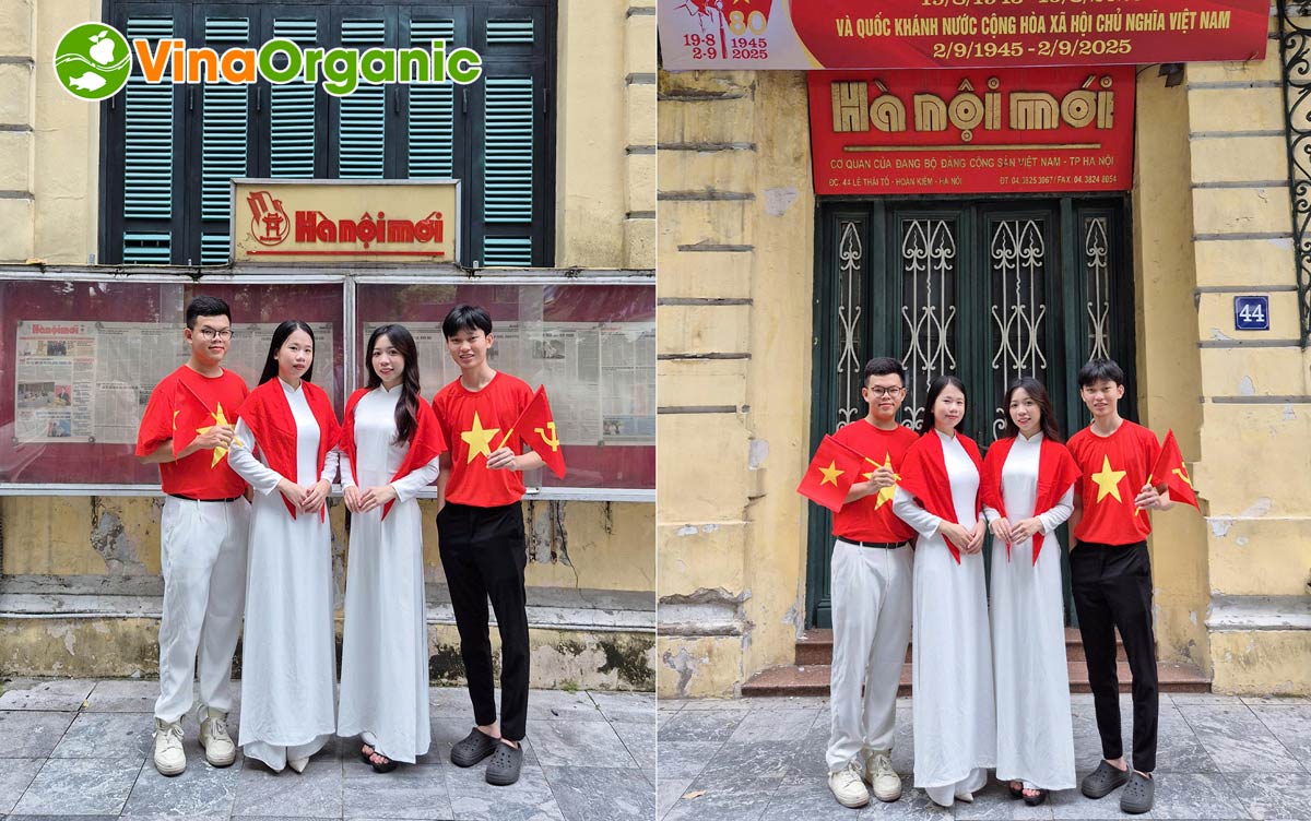 Tập thể cán bộ nhân viên VinaOrganic đã cùng nhau hưởng ứng lễ 2/9 với nhiều hoạt động ý nghĩa vào những ngày thu lịch sử.