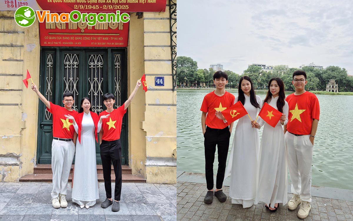 Tập thể cán bộ nhân viên VinaOrganic đã cùng nhau hưởng ứng lễ 2/9 với nhiều hoạt động ý nghĩa vào những ngày thu lịch sử.