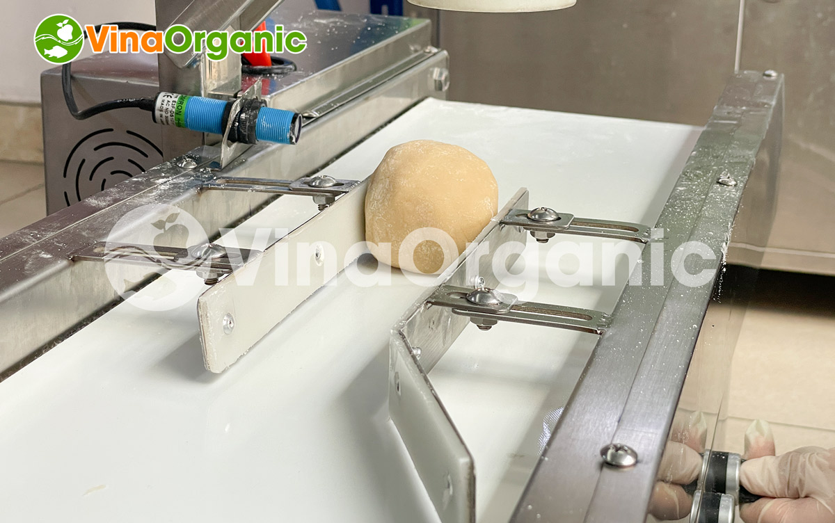 EX050TD - Máy ép bánh trung thu có băng tải tự động, ép bánh năng suất cao, ép đồng đều. Liên hệ ngay Hotline/Zalo 0938299798 - 0975299798 để được tư vấn!