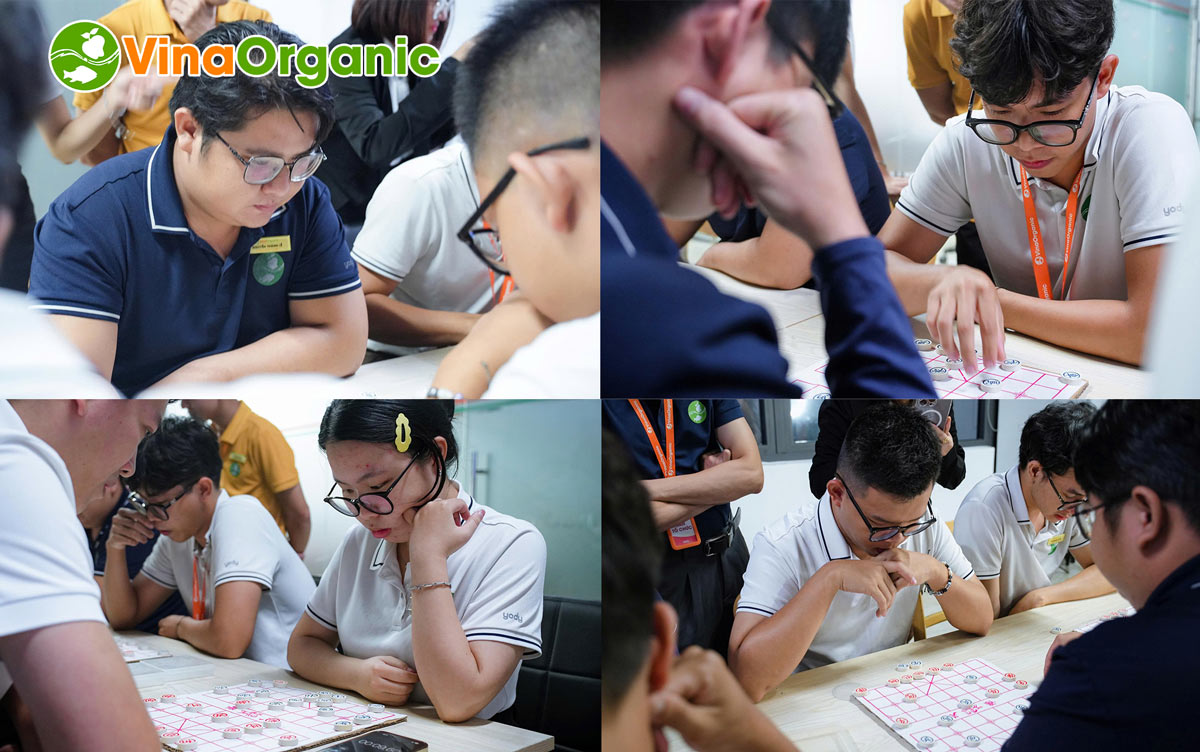 VinaOrganic đã tổ chức thành công giải cờ tướng trong chuỗi hội thao năm 2025. Hãy cùng VinaOrganic nhìn lại các hình ảnh vừa qua nhé!