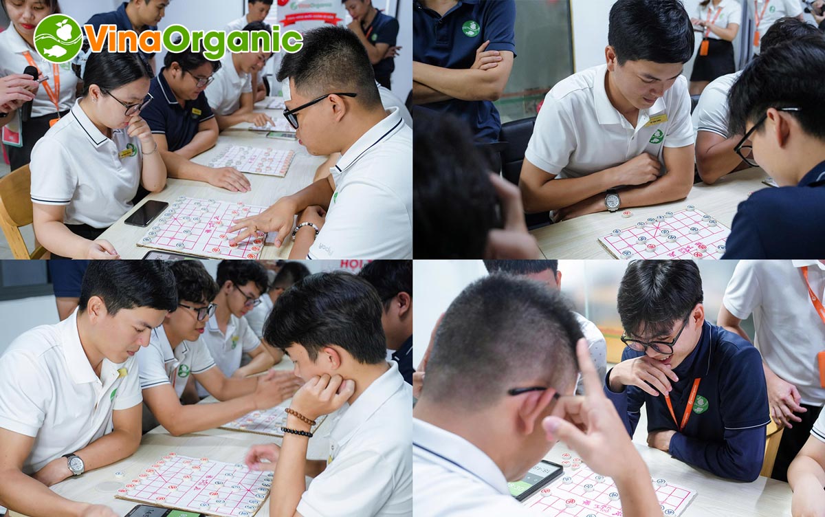 VinaOrganic đã tổ chức thành công giải cờ tướng trong chuỗi hội thao năm 2025. Hãy cùng VinaOrganic nhìn lại các hình ảnh vừa qua nhé!