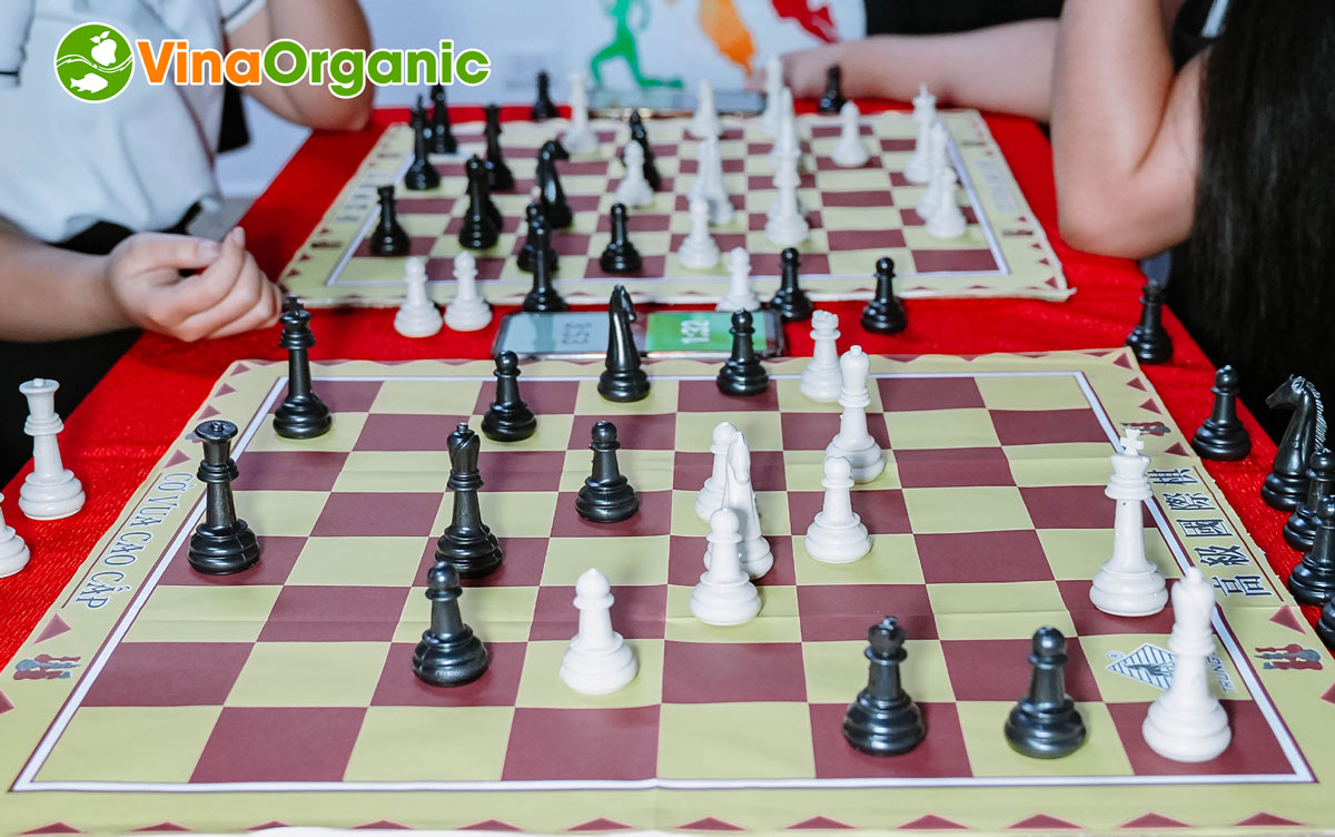 Tiếp nối chuỗi Hội thao VinaOrganic 2025 là giải cờ vua. Hãy cùng VinaOrganic nhìn lại những khoảnh khắc vừa qua nhé!