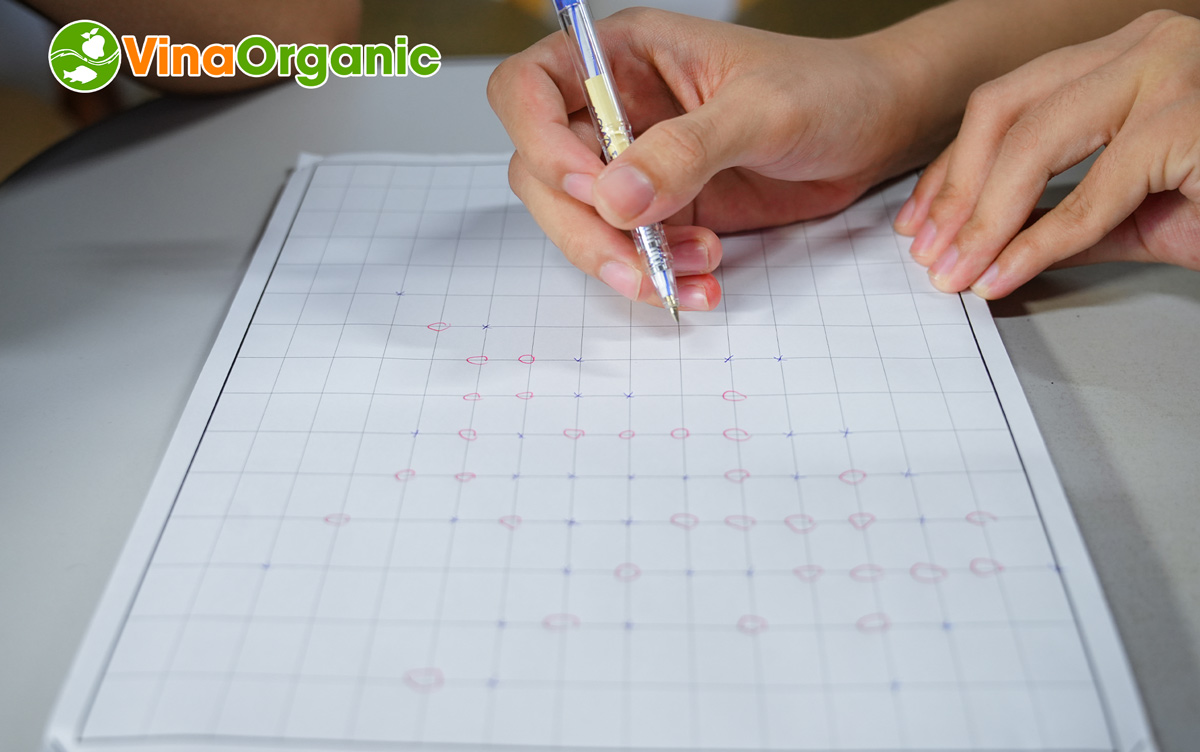 Những nước đi đầy chiến thuật  – giải Cờ caro trong khuôn khổ Hội thao VinaOrganic 2025 đã chính thức khép lại