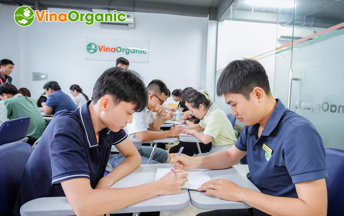 Những nước đi đầy chiến thuật  – giải Cờ caro trong khuôn khổ Hội thao VinaOrganic 2025 đã chính thức khép lại