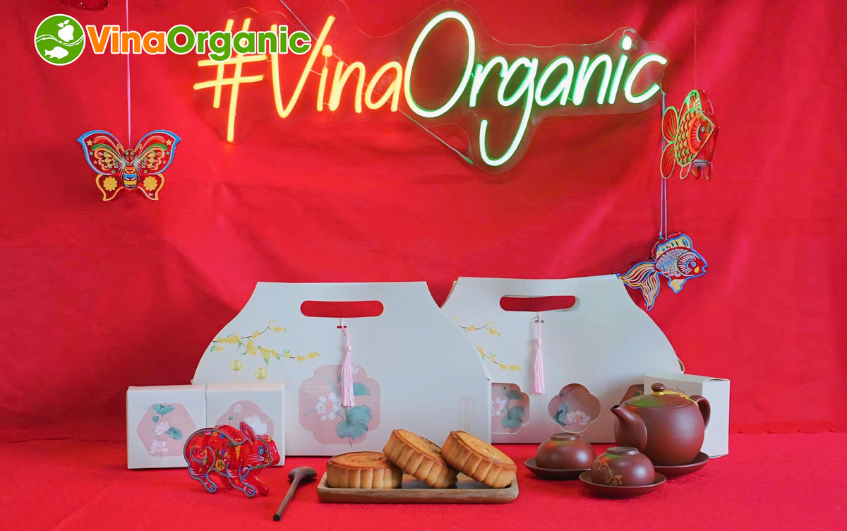 Trong không khí rộn ràng mùa trăng tròn, đại gia đình VinaOrganic đã cùng nhau đón một mùa Trung Thu thật ấm áp và đáng nhớ. 