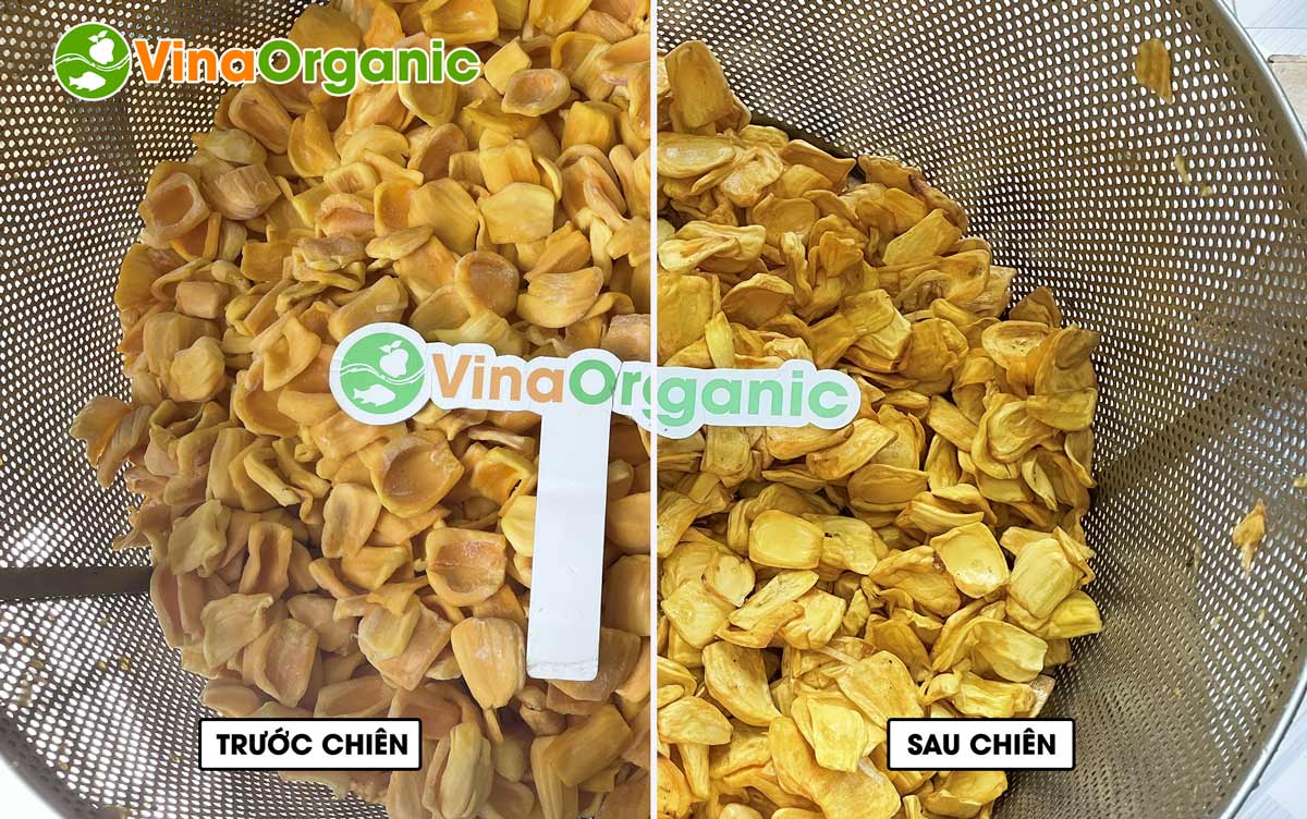 Vừa qua, VinaOrganic đã có mặt tại Đồng Tháp để lắp đặt và hướng dẫn vận hành Dây chuyền máy chiên chân không chuối – mít cho khách hàng