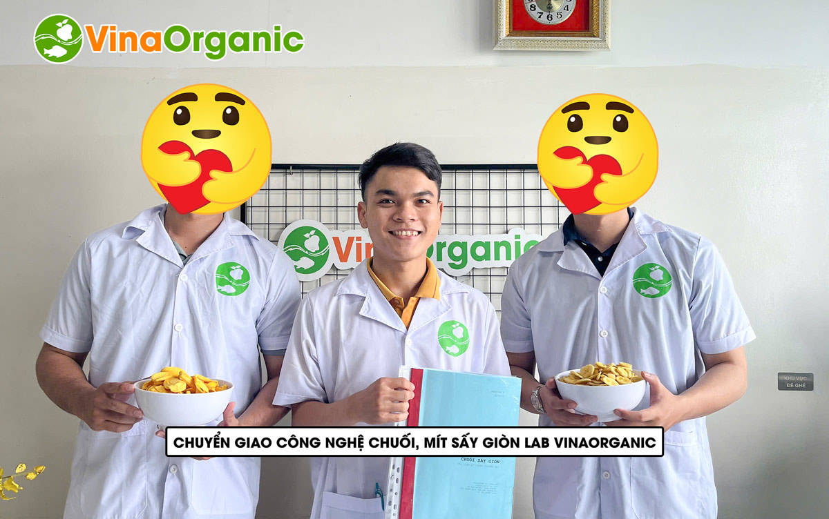 Chuyển giao công nghệ Chuối Mít sấy giòn tại VinaOrganic – Giòn ngon, chuẩn chất lượng. Liên hệ 0975.299.798!