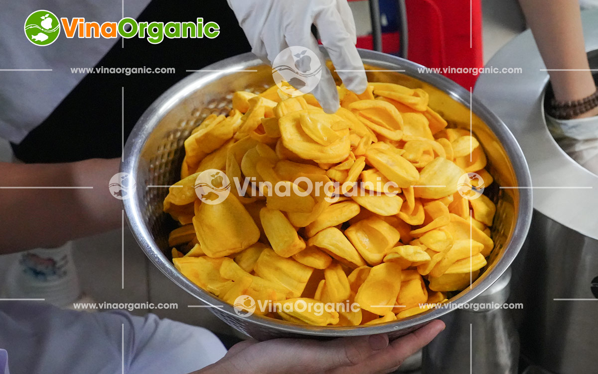 Chuyển giao công nghệ Chuối Mít sấy giòn tại VinaOrganic – Giòn ngon, chuẩn chất lượng. Liên hệ 0975.299.798!