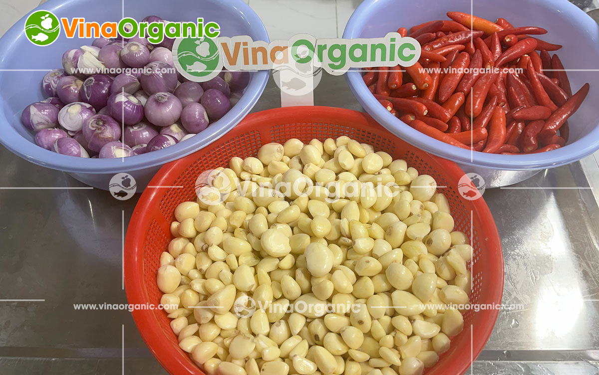 Sate tôm không chỉ là một loại gia vị thông thường, mà còn là chìa khóa nâng tầm hương vị cho mọi món ăn. Công nghệ sản xuất Sate tôm độc quyền từ VinaOrganic mang đến sự kết hợp hoàn hảo giữa vị cay, mặn hài hòa cùng hương thơm nồng quyến rũ đặc trưng.
