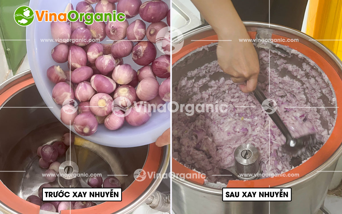Sate tôm không chỉ là một loại gia vị thông thường, mà còn là chìa khóa nâng tầm hương vị cho mọi món ăn. Công nghệ sản xuất Sate tôm độc quyền từ VinaOrganic mang đến sự kết hợp hoàn hảo giữa vị cay, mặn hài hòa cùng hương thơm nồng quyến rũ đặc trưng.