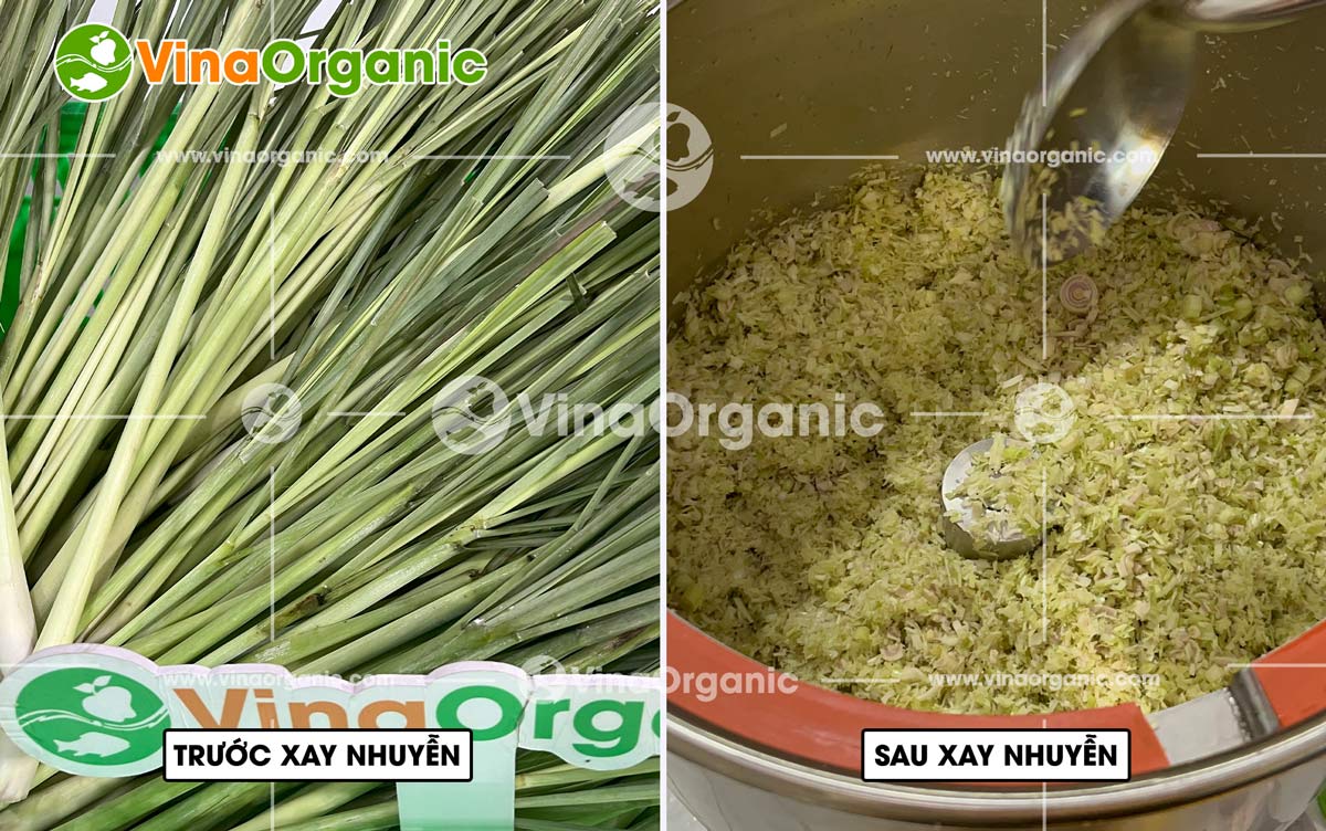 Sate tôm không chỉ là một loại gia vị thông thường, mà còn là chìa khóa nâng tầm hương vị cho mọi món ăn. Công nghệ sản xuất Sate tôm độc quyền từ VinaOrganic mang đến sự kết hợp hoàn hảo giữa vị cay, mặn hài hòa cùng hương thơm nồng quyến rũ đặc trưng.