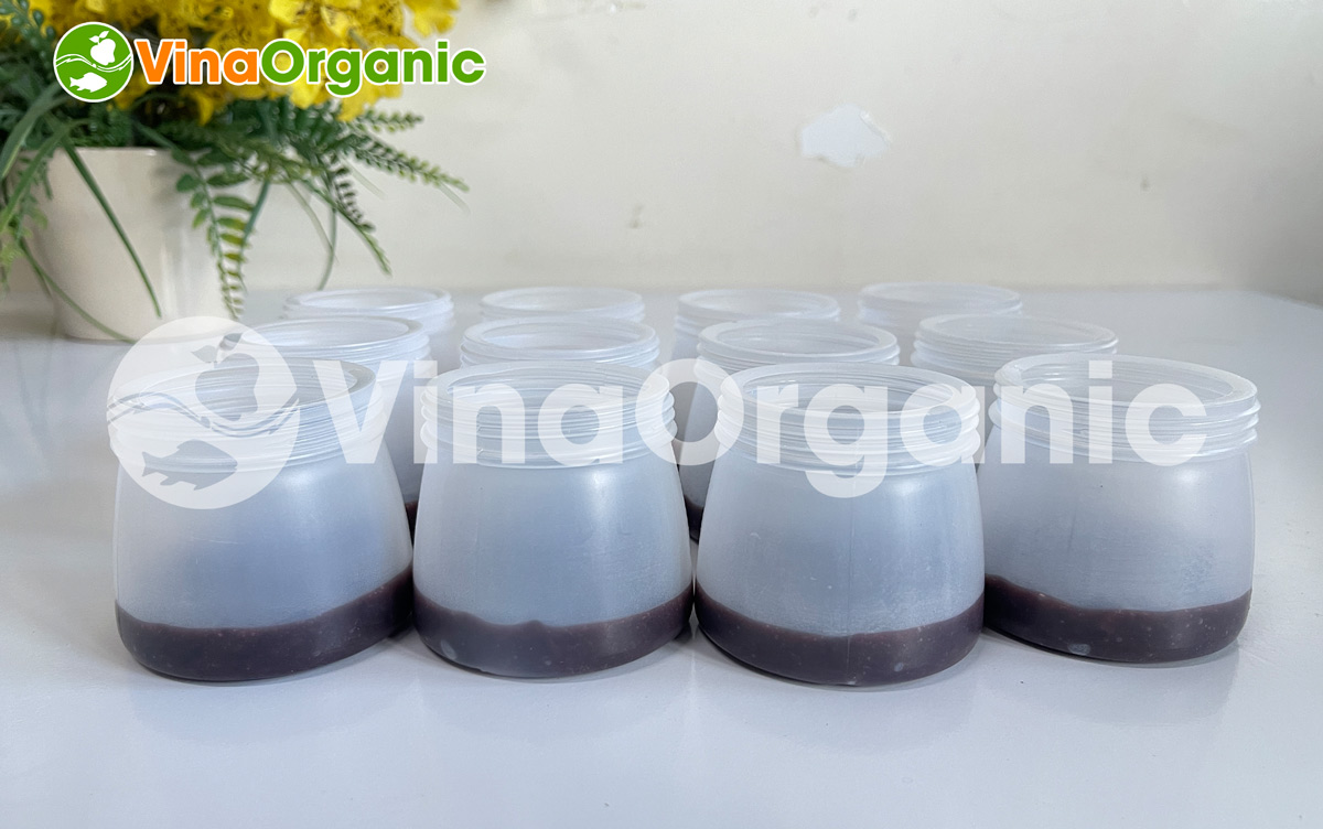 VinaOrganic chuyển giao công nghệ và máy thiết bị sản xuất sữa chua nếp cẩm. Hotline 0938299798 - 0975299798 - 0948299798