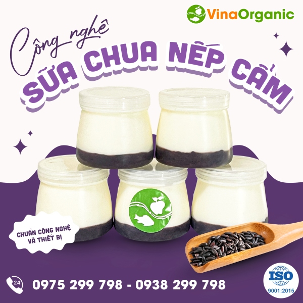 Chuyển giao công nghệ Sữa chua nếp cẩm ngon sánh mịn