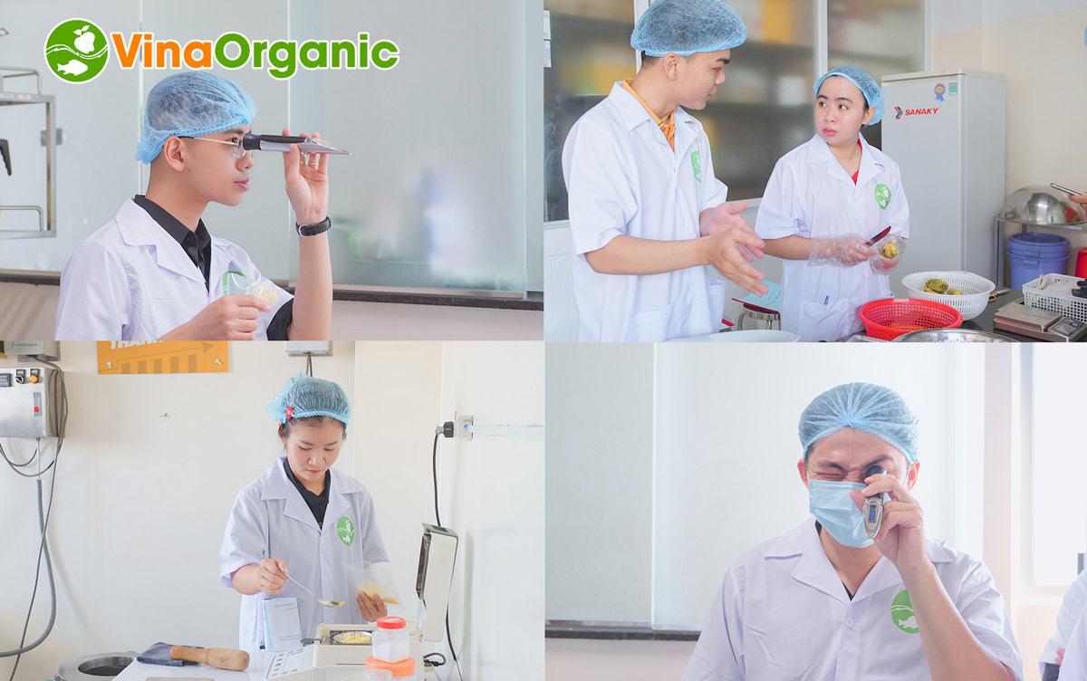 Tháng 10 vừa qua, VinaOrganic đã tổ chức thành công Khoá học R&D thực chiến với sự tham gia đông đảo của các học viên.