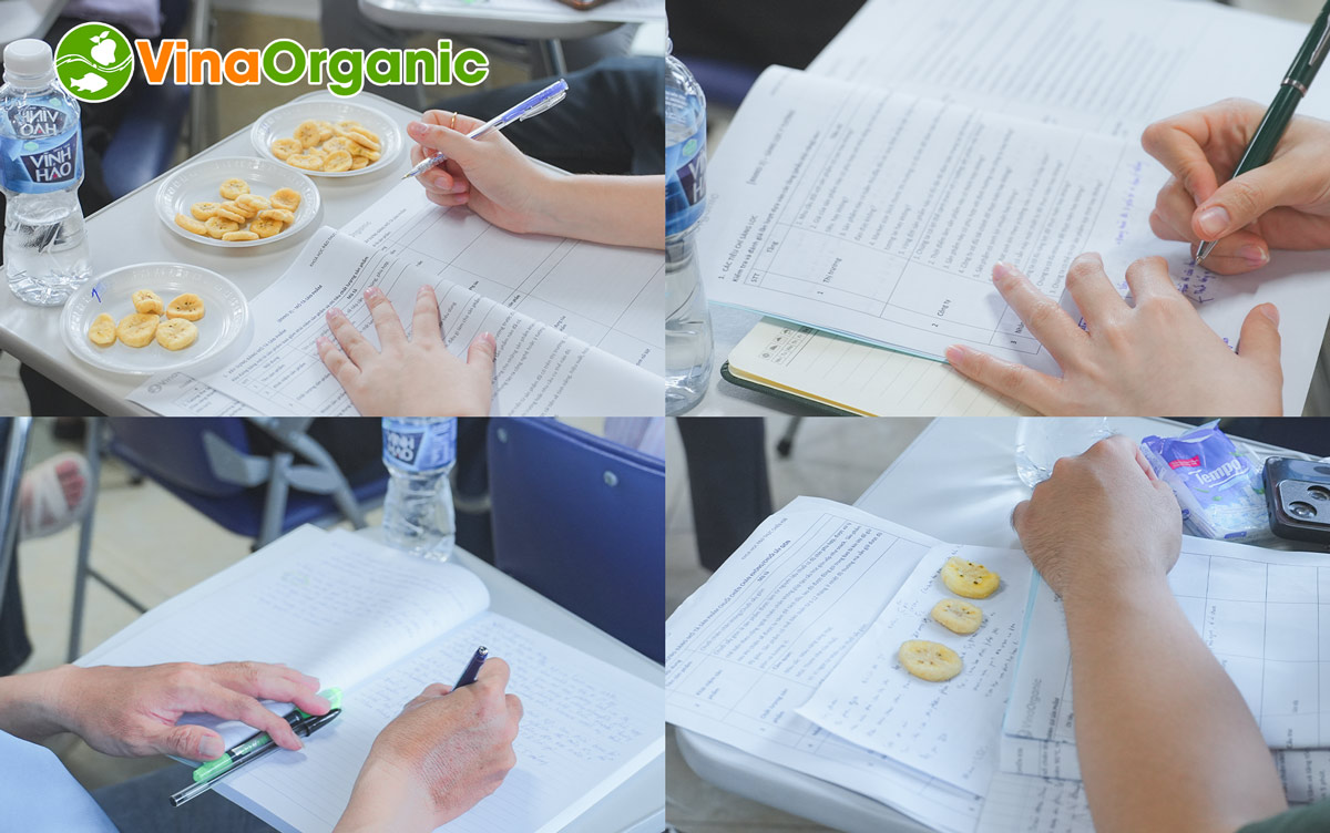 Tháng 10 vừa qua, VinaOrganic đã tổ chức thành công Khoá học R&D thực chiến với sự tham gia đông đảo của các học viên.