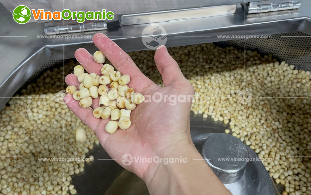 Vừa qua, VinaOrganic đã có mặt tại Lâm Đồng để lắp đặt và hướng dẫn vận hành Dây chuyền máy chiên chân không 50kg cho khách hàng