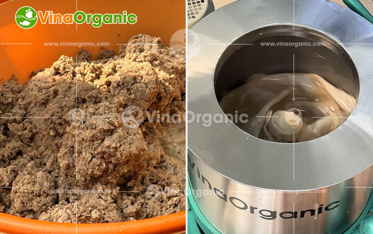 VinaOrganic bàn giao máy ly tâm lồng rời 30–60kg tại TP.HCM, vận hành ổn định, tách dầu hiệu quả. Liên hệ 0975.299.798 để tư vấn!