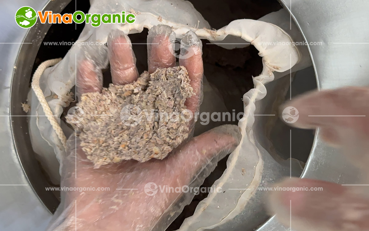 VinaOrganic bàn giao máy ly tâm lồng rời 30–60kg tại TP.HCM, vận hành ổn định, tách dầu hiệu quả. Liên hệ 0975.299.798 để tư vấn!